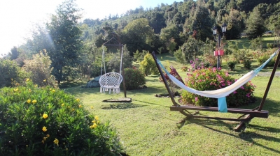 Venta-de-Parcela-con-casa-en-Lago-Ranco-Camino-Piedra-Mesa